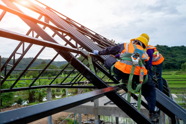 Best Gutter Installation and Roofing  in Orange Grove, TX