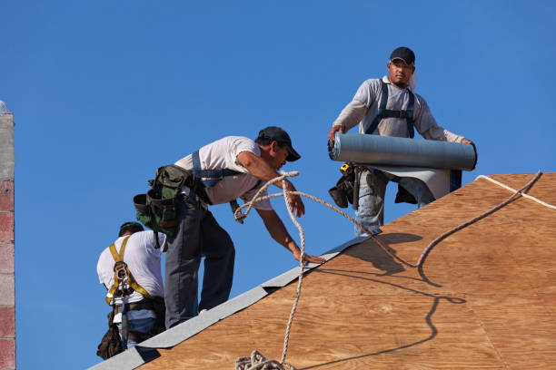 Roof Installation Near Me in Orange Grove, TX