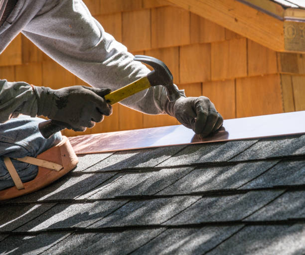 Best Storm Damage Roof Repair  in Orange Grove, TX